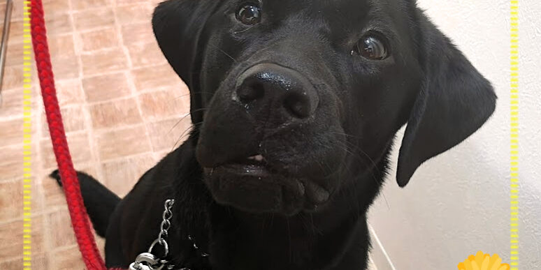 IMG_20220621_120234_1 (1)