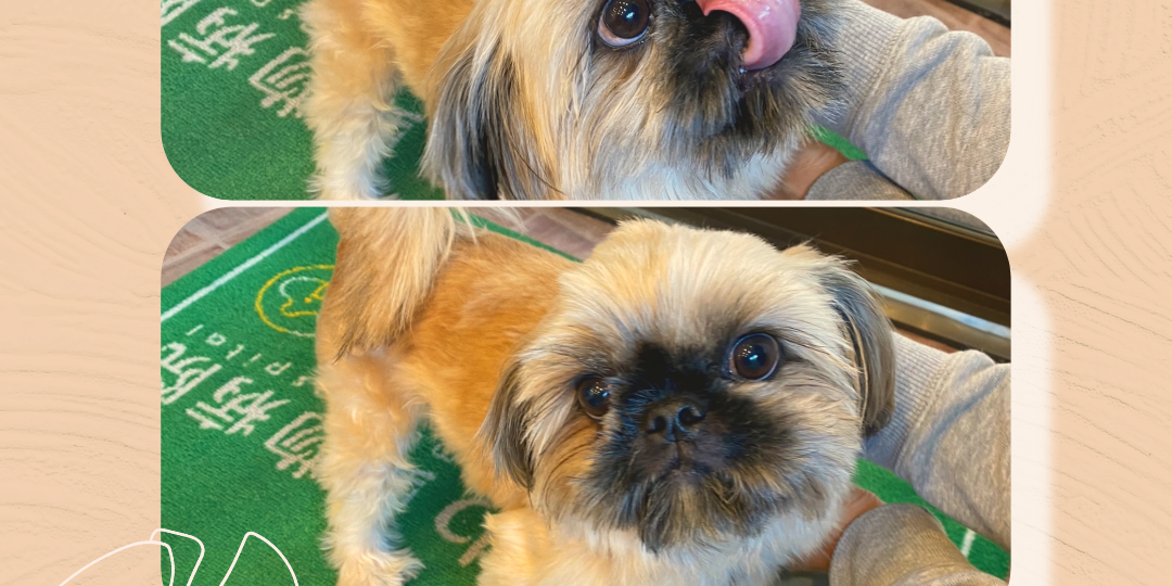 White LGBT Homosexual Love Quote