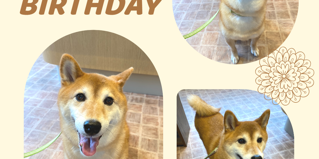 今泉ゆめちゃん